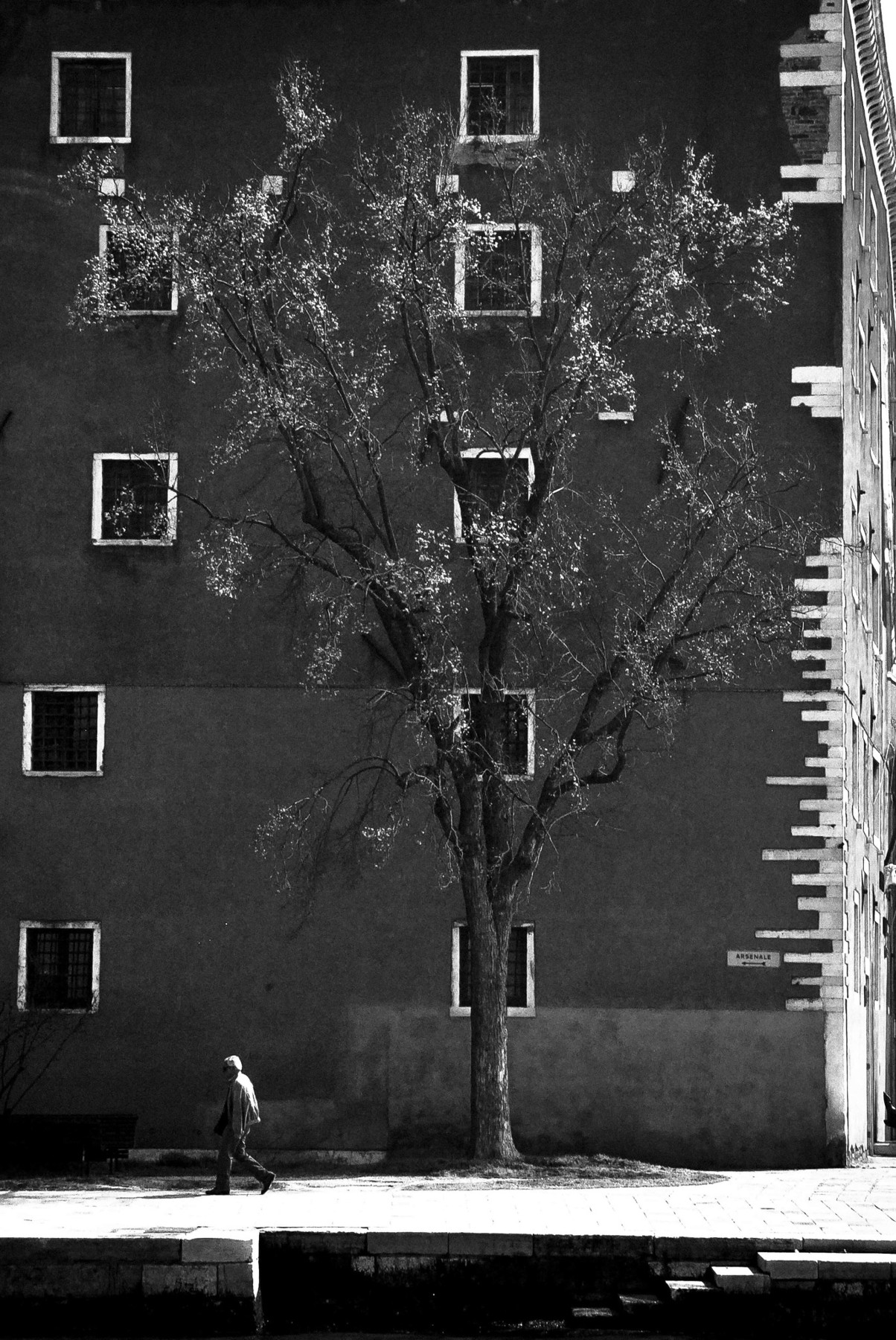 Natura, fotografia a Venezia